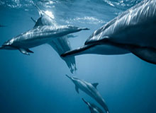 PG电子-“苏超”官方统一预约购票平台开通